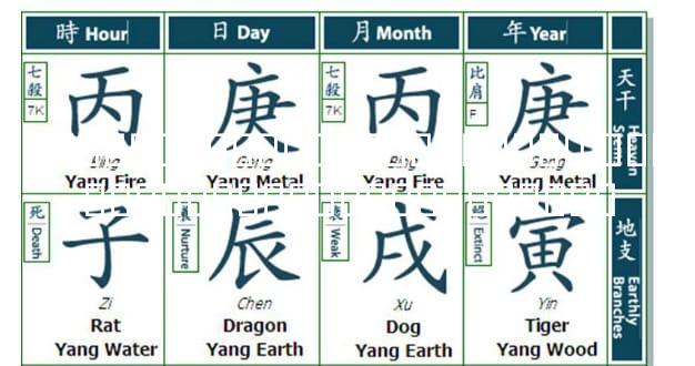 �����������������Ե���� ����